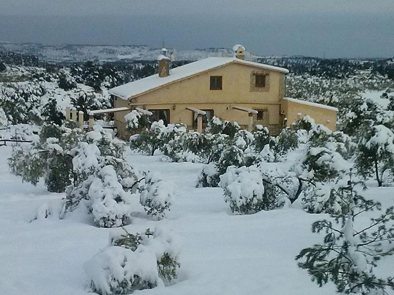 Mas Arboretum Villa La Pobla de Cervoles ภายนอก รูปภาพ